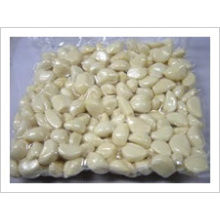 Fresh Chinese White Peeled Garlic